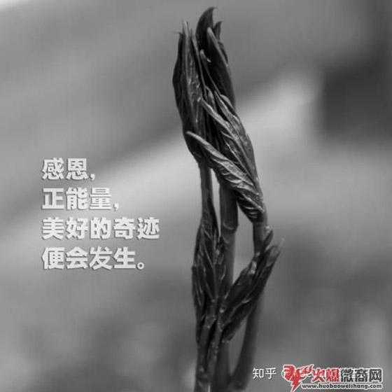 微商代理價格多少才算合理?
