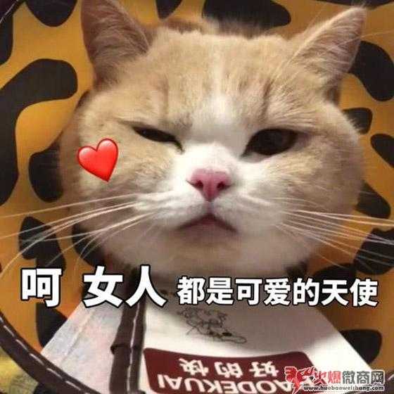 曝光真相！微商那么賺錢都是真的嗎？