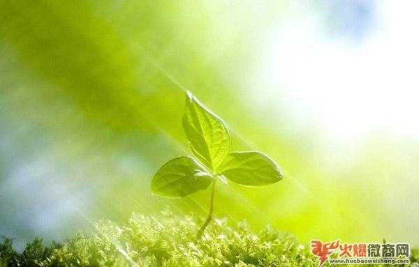 微商這一簡(jiǎn)單操作，能讓你產(chǎn)品更加好賣！