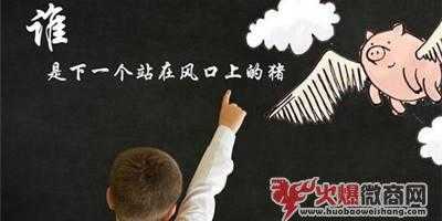 有人說他抓住了微商風(fēng)口和機會！
