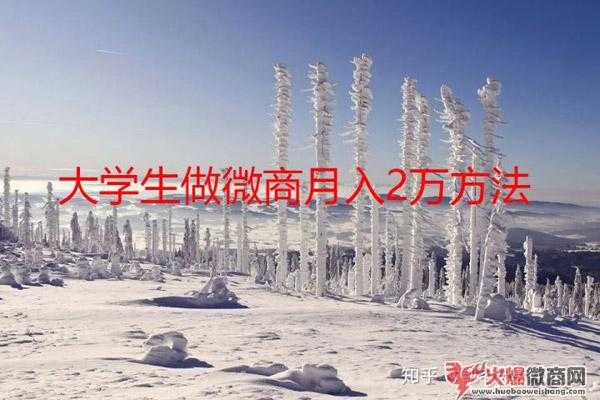 大學生做微商月入過萬現實嗎？