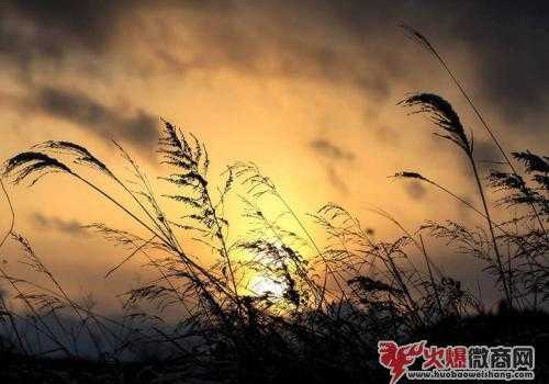 都2020了,為什么還有人對微商特別反感?