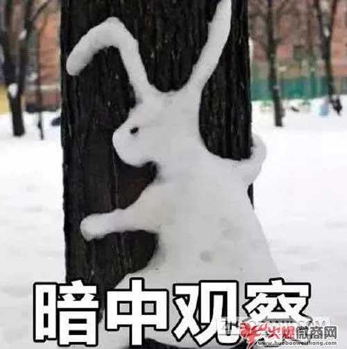 抄偽原創的工具有助于提高作文水平嗎？