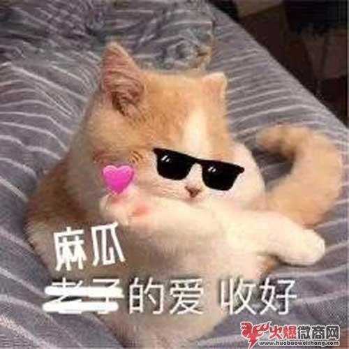 “利他”是真正引流的精髓,同行都在學