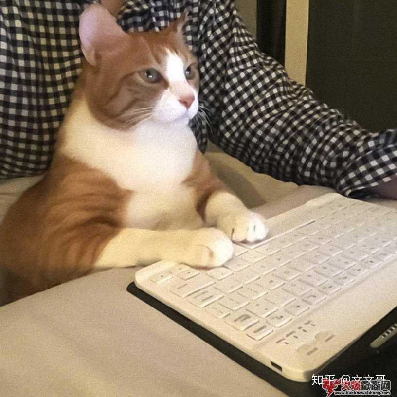 加了好友,那朋友圈應該要怎么發呢？