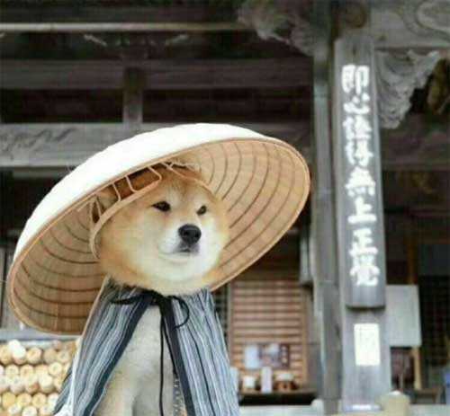 微信掙零花錢,聽聽過來人的經驗!